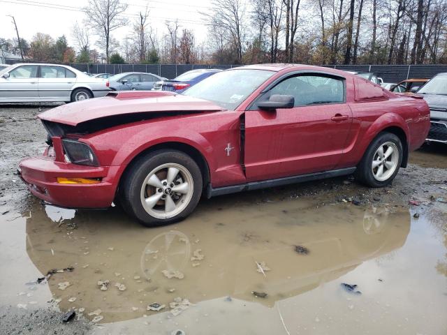 1ZVFT80N575370060 - 2007 FORD MUSTANG RED photo 1