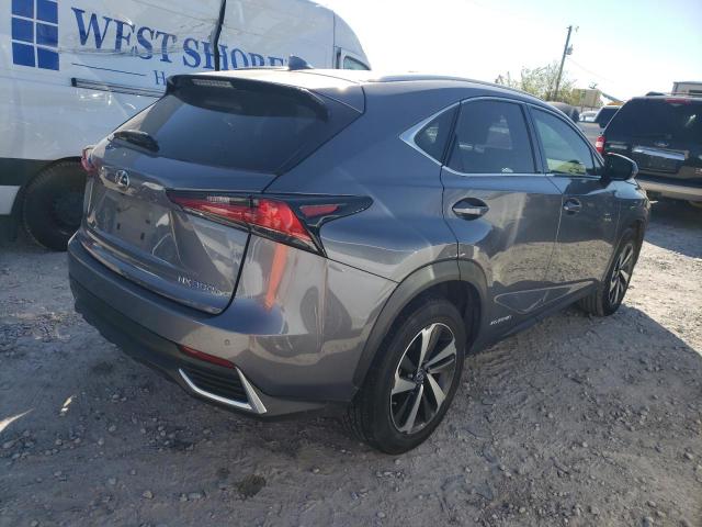 JTJBJRBZ6J2096225 - 2018 LEXUS NX 300H GRAY photo 3