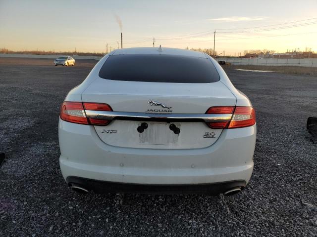 SAJXJ0EF1E8U13936 - 2014 JAGUAR XF WHITE photo 6