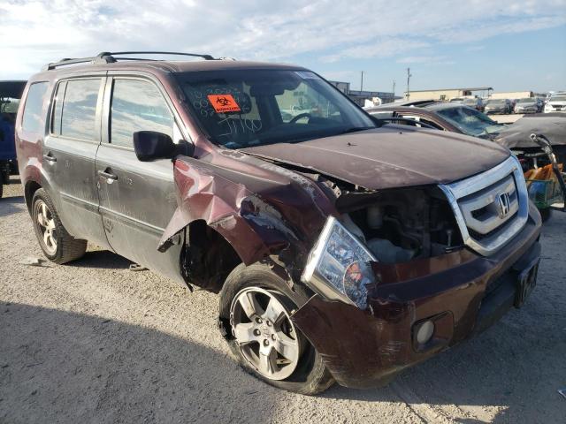 5FNYF3H55BB024916 - 2011 HONDA PILOT EXL MAROON photo 4