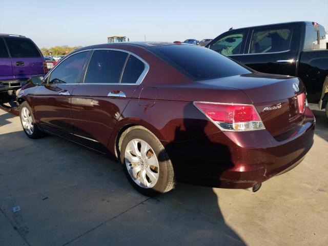 5KBCP3F89AB009503 - 2010 HONDA ACCORD EXL BURGUNDY photo 2