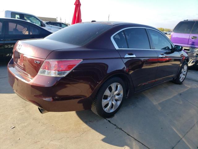 5KBCP3F89AB009503 - 2010 HONDA ACCORD EXL BURGUNDY photo 3