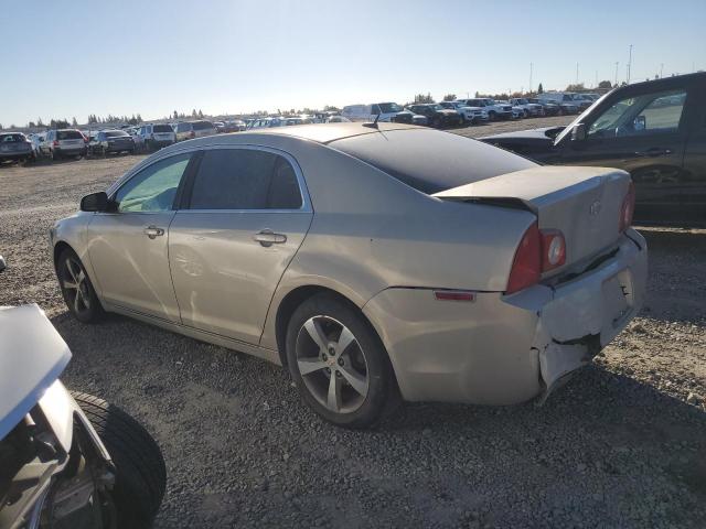 1G1ZC5E19BF210926 - 2011 CHEVROLET MALIBU 1LT 奶油色 照片 2
