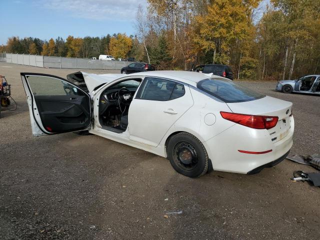 KNAGM4A79F5558654 - 2015 KIA OPTIMA LX WHITE photo 2