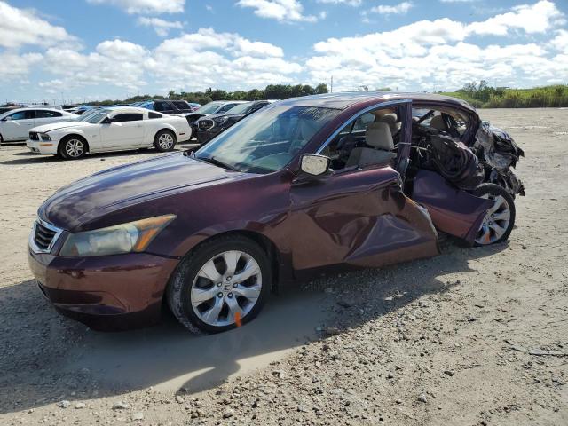 1HGCP26819A071993 - 2009 HONDA ACCORD EXL BURGUNDY photo 1