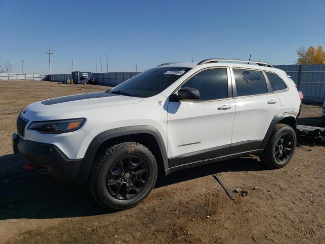 1C4PJMBX6KD418832 - 2019 JEEP CHEROKEE TRAILHAWK Ağ foto 1