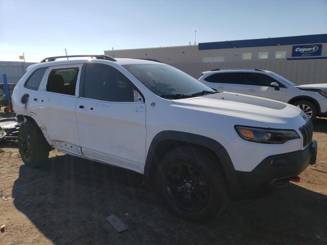 1C4PJMBX6KD418832 - 2019 JEEP CHEROKEE TRAILHAWK Ağ foto 4
