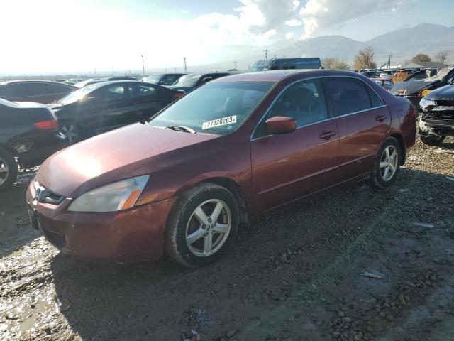 JHMCM56705C001415 - 2005 HONDA ACCORD EX BURGUNDY photo 1