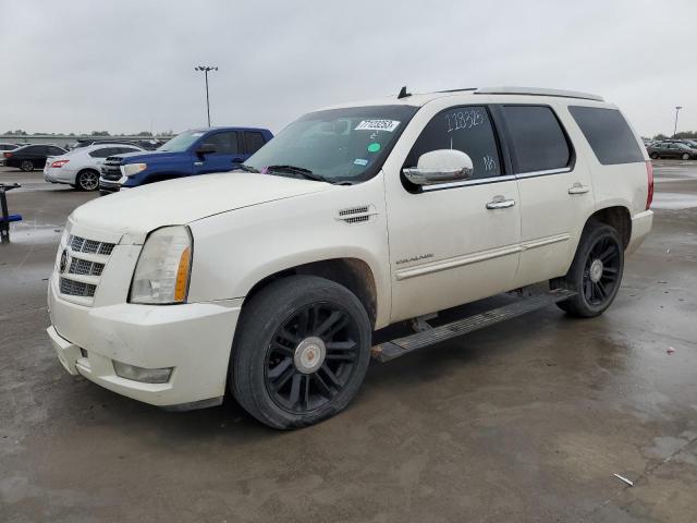 1GYS3CEFXDR118325 - 2013 CADILLAC ESCALADE PREMIUM WHITE photo 1