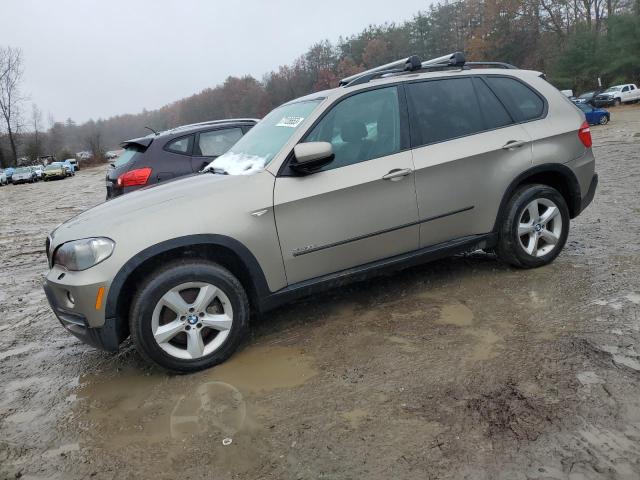 5UXFE43599L260269 - 2009 BMW X5 XDRIVE30I SILVER photo 1