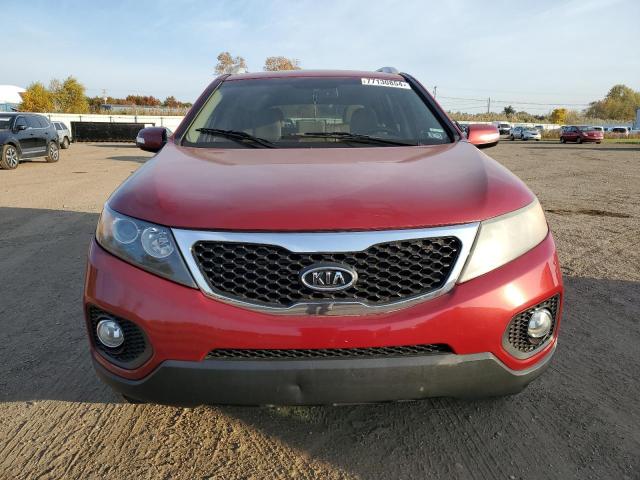 5XYKTDA14BG071150 - 2011 KIA SORENTO BASE RED photo 5