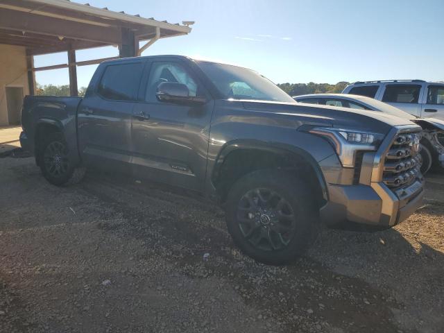 5TFNA5DB5PX103444 - 2023 TOYOTA TUNDRA CREWMAX PLATINUM 灰色 照片 4