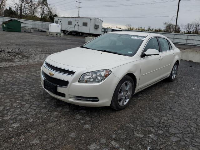 1G1ZC5E10BF335118 - 2011 CHEVROLET MALIBU 1LT 白色 照片 1