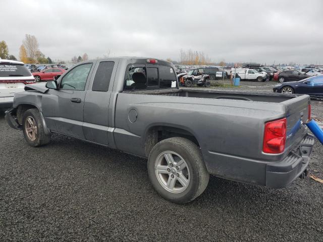 1D7CE3BK6AS100825 - 2010 DODGE DAKOTA SXT CHARCOAL photo 2