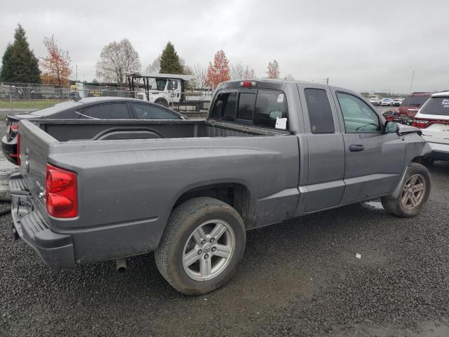 1D7CE3BK6AS100825 - 2010 DODGE DAKOTA SXT CHARCOAL photo 3