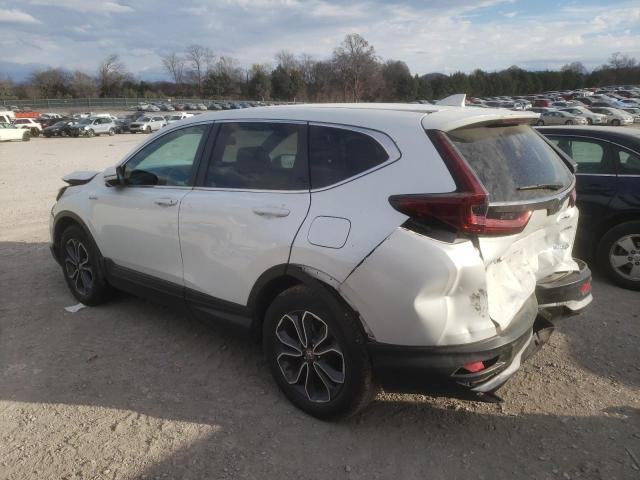 7FART6H84LE026641 - 2020 HONDA CR-V EXL WHITE photo 2