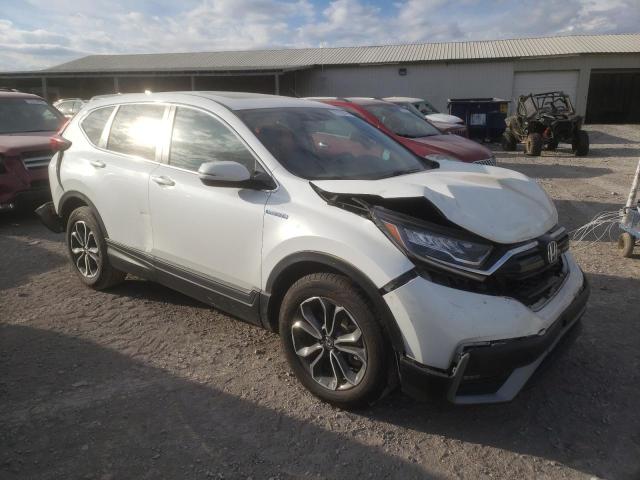 7FART6H84LE026641 - 2020 HONDA CR-V EXL WHITE photo 4