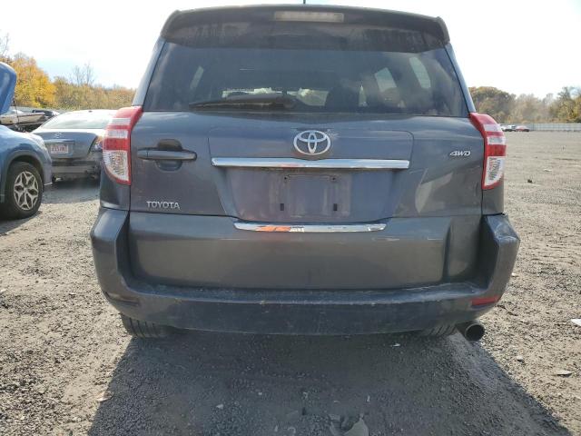 JTMRF4DV9A5036874 - 2010 TOYOTA RAV4 SPORT GRAY photo 6