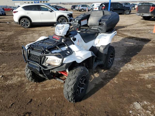 1HFTE468XG4101025 - 2016 HONDA TRX500 FA WHITE photo 2