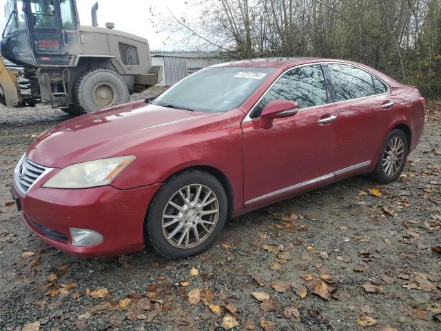 JTHBK1EG1B2416482 - 2011 LEXUS ES 350 RED photo 1