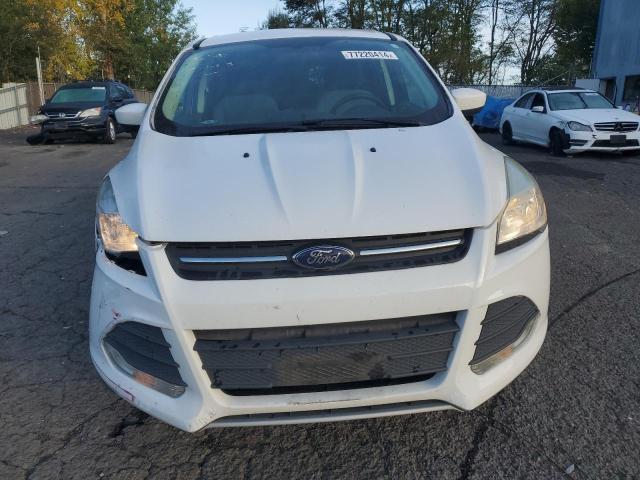 1FMCU9G91FUA09765 - 2015 FORD ESCAPE SE WHITE photo 5