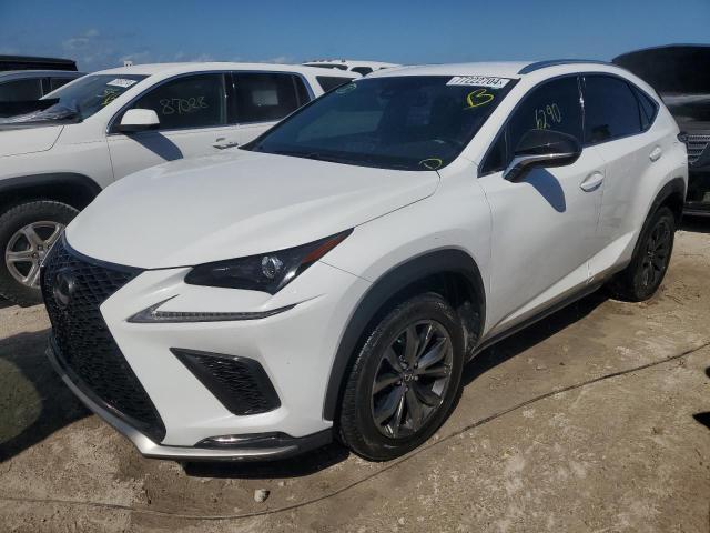 JTJSARBZ8M5022596 - 2021 LEXUS NX 300 BASE თეთრი ფოტო 1