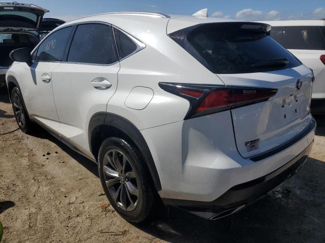 JTJSARBZ8M5022596 - 2021 LEXUS NX 300 BASE WHITE photo 2