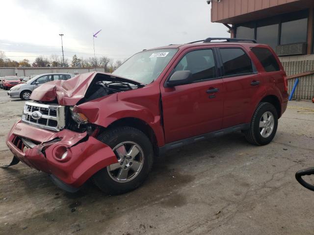 2009 FORD ESCAPE XLT, 