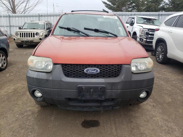 1FMYU03137KA47772 - 2007 FORD ESCAPE XLT ORANGE photo 5