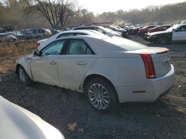 1G6DL5EDXB0141150 - 2011 CADILLAC CTS PERFORMANCE COLLECTION Krem fotoğraf 2