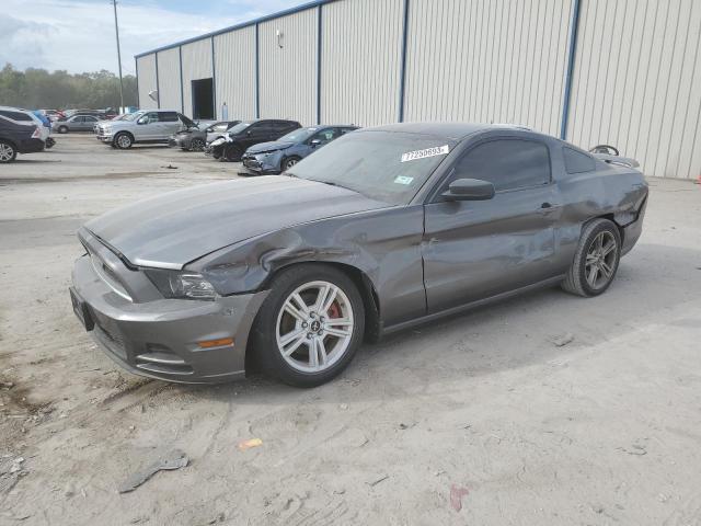 1ZVBP8AM2E5261755 - 2014 FORD MUSTANG GRAY photo 1