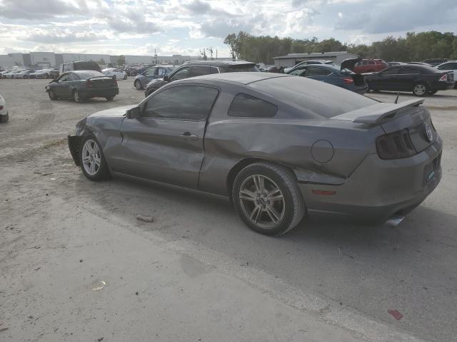 1ZVBP8AM2E5261755 - 2014 FORD MUSTANG GRAY photo 2