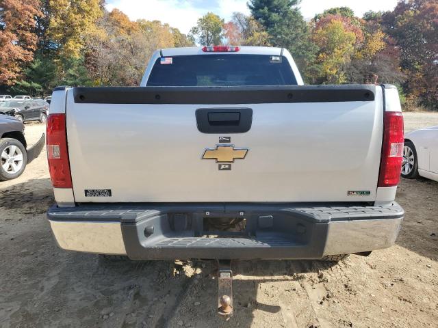 3GCRKSE38AG160303 - 2010 CHEVROLET SILVERADO K1500 LT SILVER photo 6