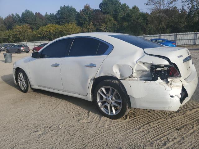 1N4AA5AP3DC837720 - 2013 NISSAN MAXIMA S WHITE photo 2