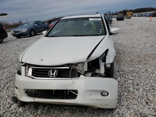 1HGCP36879A045923 - 2009 HONDA ACCORD EXL WHITE photo 5