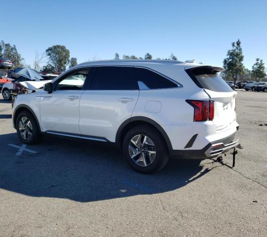 KNDRH4LG1P5142175 - 2023 KIA SORENTO EX WHITE photo 2