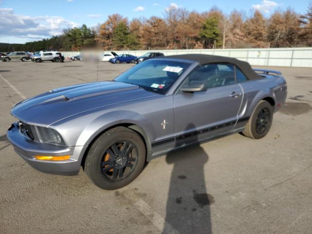 1ZVHT84N465258738 - 2006 FORD MUSTANG GRAY photo 1