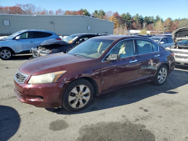 2008 HONDA ACCORD EXL, 