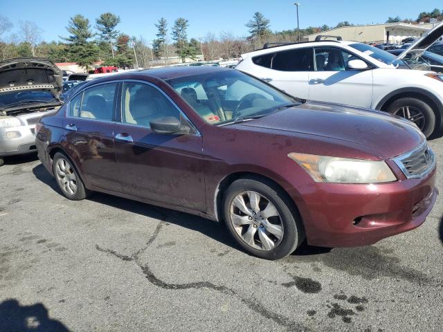 1HGCP36858A083729 - 2008 HONDA ACCORD EXL MAROON photo 4