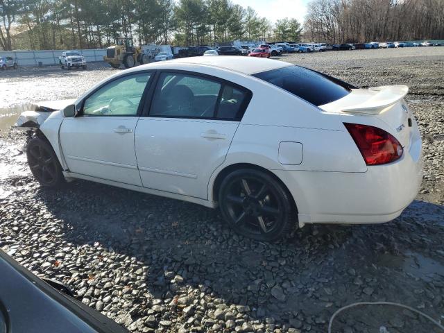 1N4BA41E44C903138 - 2004 NISSAN MAXIMA SE WHITE photo 2