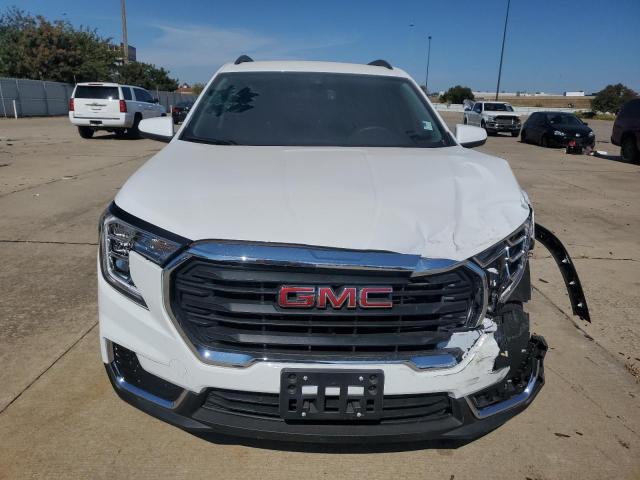 3GKALMEG5RL332416 - 2024 GMC TERRAIN SLE WHITE photo 5