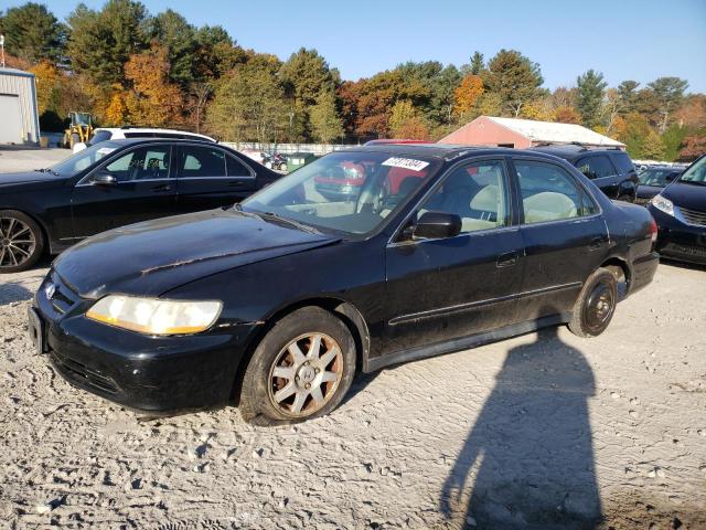 2002 HONDA ACCORD EX, null