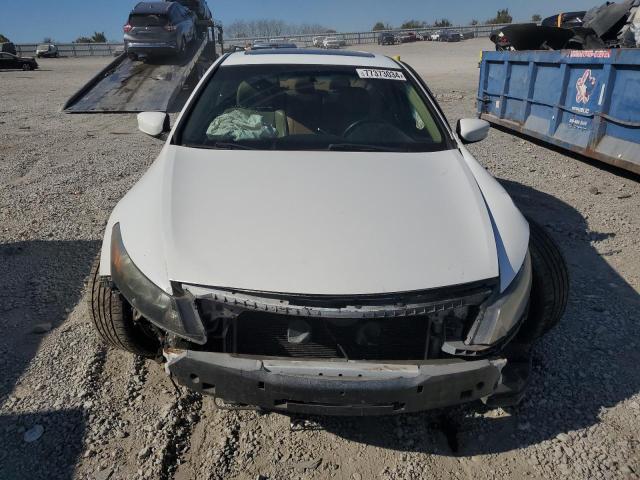 1HGCS2B87BA006317 - 2011 HONDA ACCORD EXL WHITE photo 5