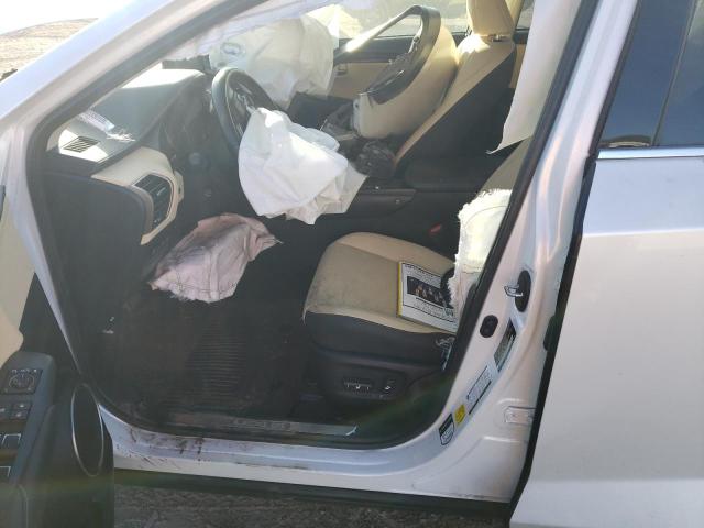 JTJDARBZ1M5029186 - 2021 LEXUS NX 300 BASE თეთრი ფოტო 7