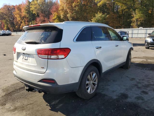 5XYPG4A32GG117223 - 2016 KIA SORENTO LX WHITE photo 3