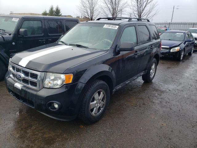 2010 FORD ESCAPE XLT, 