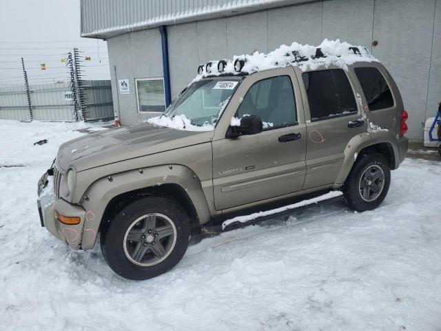 1J4GL38K83W583443 - 2003 JEEP LIBERTY RENEGADE 金色 照片 1