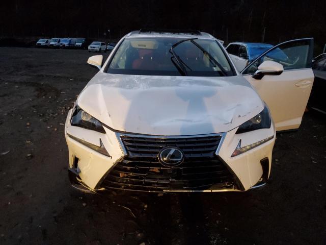 JTJDARDZ5M5026613 - 2021 LEXUS NX 300 BASE Ağ foto 5