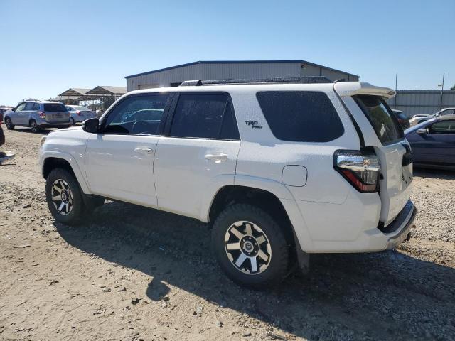 JTEBU5JR7K5682951 - 2019 TOYOTA 4RUNNER SR5 WHITE photo 2