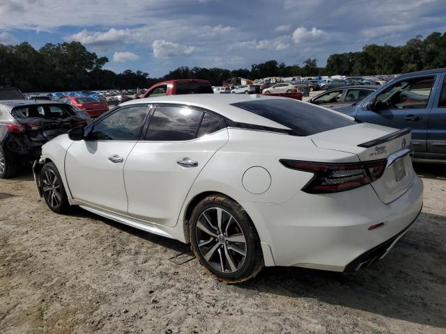 1N4AA6AV3KC365522 - 2019 NISSAN MAXIMA S WHITE photo 2